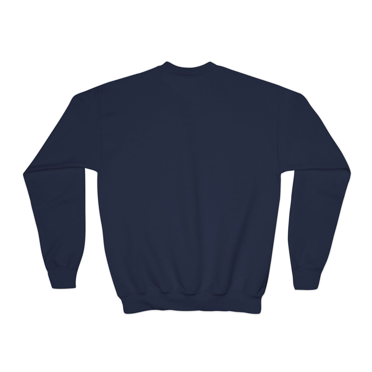 *Custom Youth Crewneck Sweatshirt — Various Colors - Upload Your Design