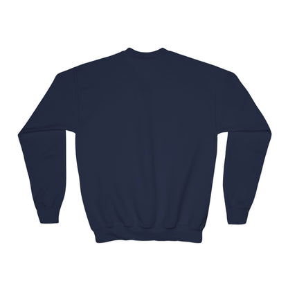 *Custom Youth Crewneck Sweatshirt — Various Colors - Upload Your Design