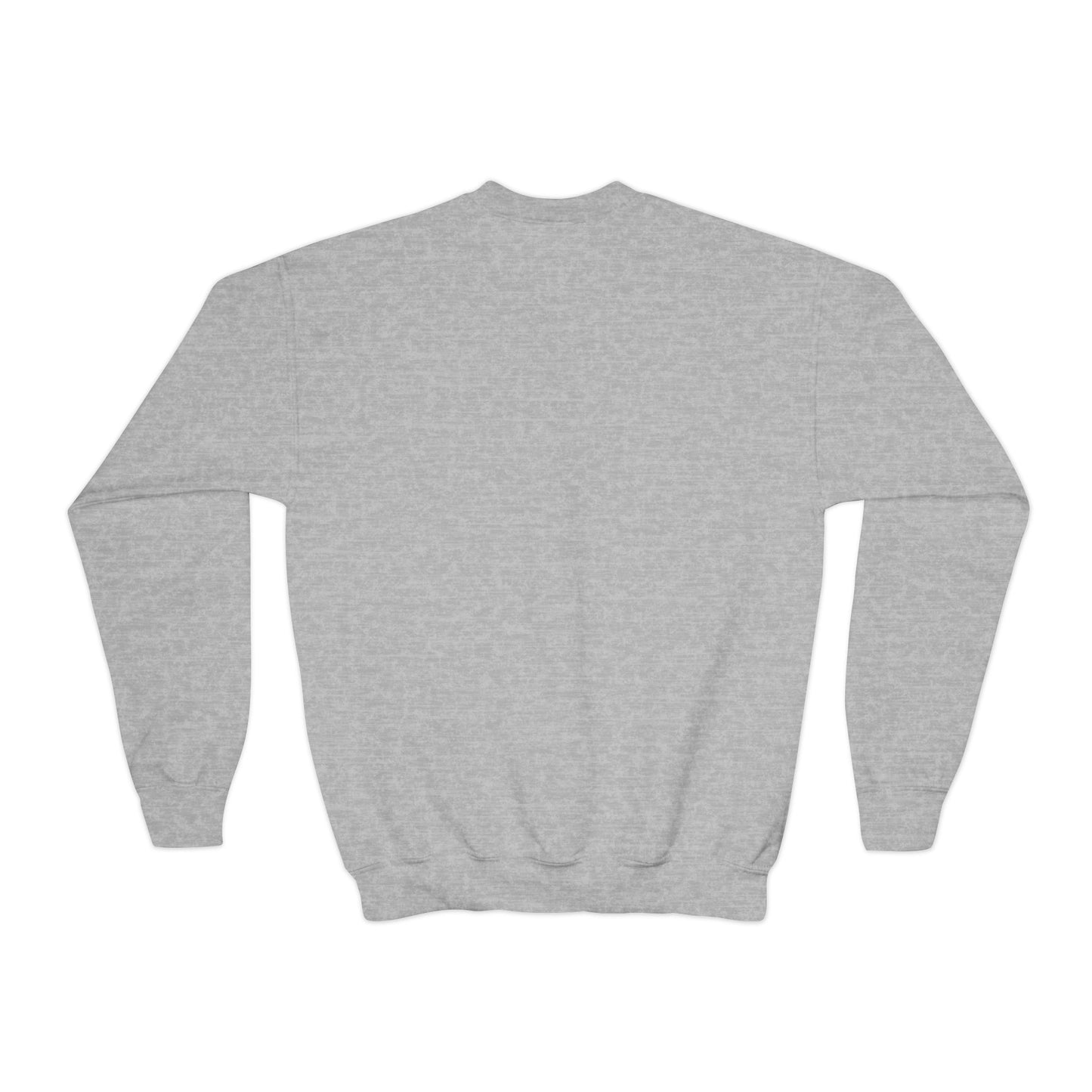 *Custom Youth Crewneck Sweatshirt — Various Colors - Upload Your Design