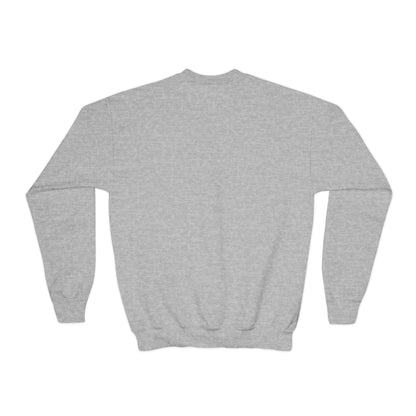 *Custom Youth Crewneck Sweatshirt — Various Colors - Upload Your Design