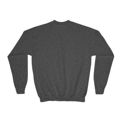 *Custom Youth Crewneck Sweatshirt — Various Colors - Upload Your Design