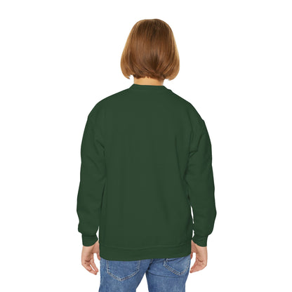*Custom Youth Crewneck Sweatshirt — Various Colors - Upload Your Design