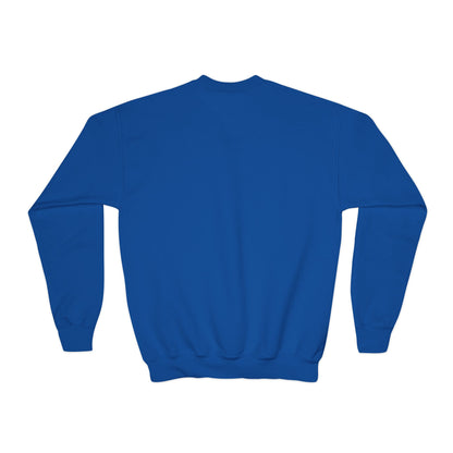 *Custom Youth Crewneck Sweatshirt — Various Colors - Upload Your Design