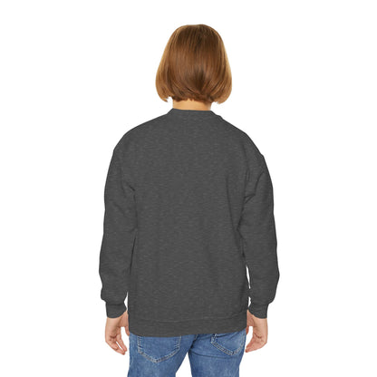 *Custom Youth Crewneck Sweatshirt — Various Colors - Upload Your Design
