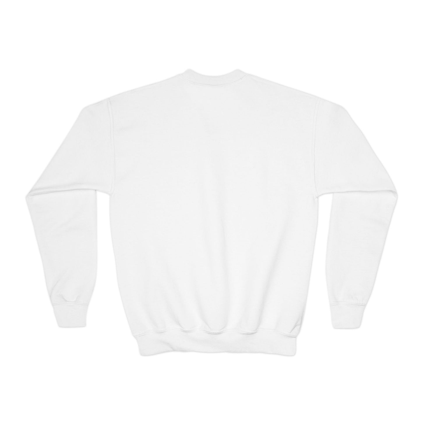 *Custom Youth Crewneck Sweatshirt — Various Colors - Upload Your Design