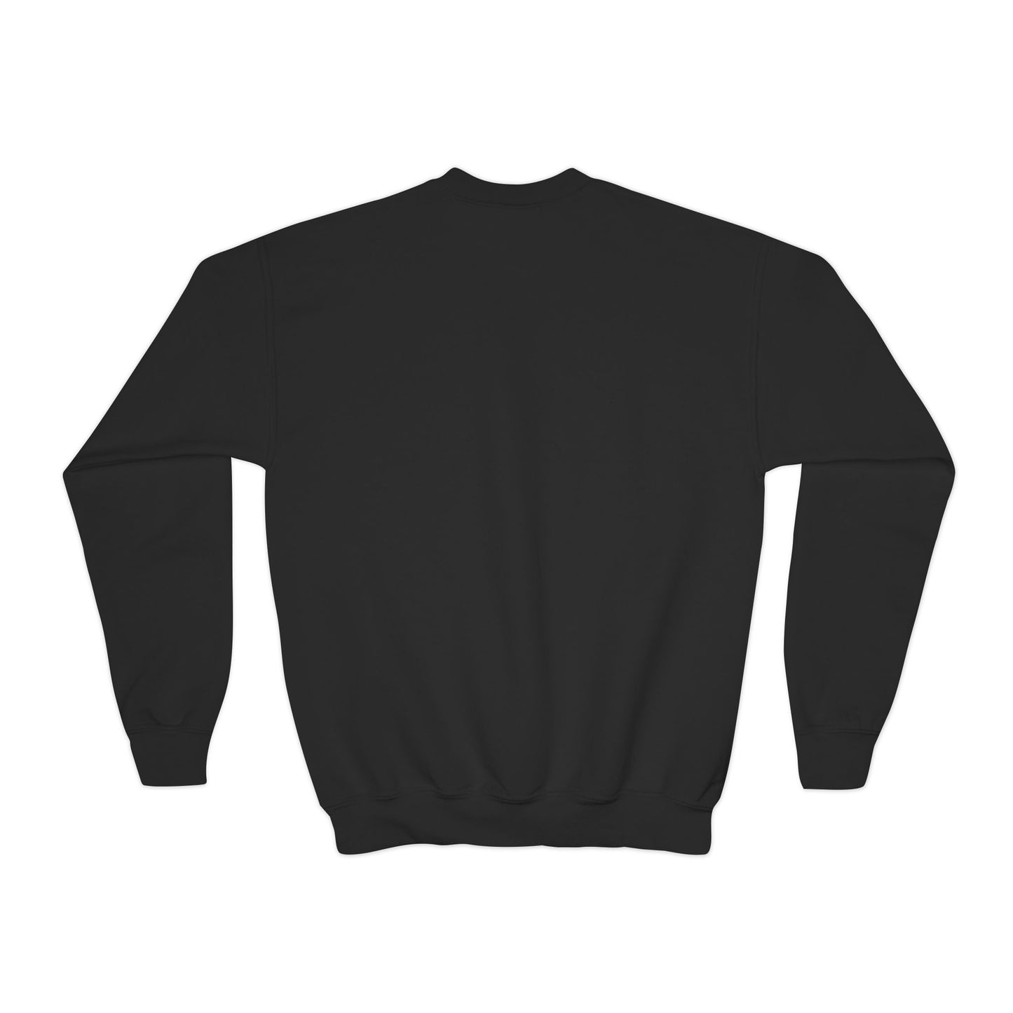 *Custom Youth Crewneck Sweatshirt — Various Colors - Upload Your Design
