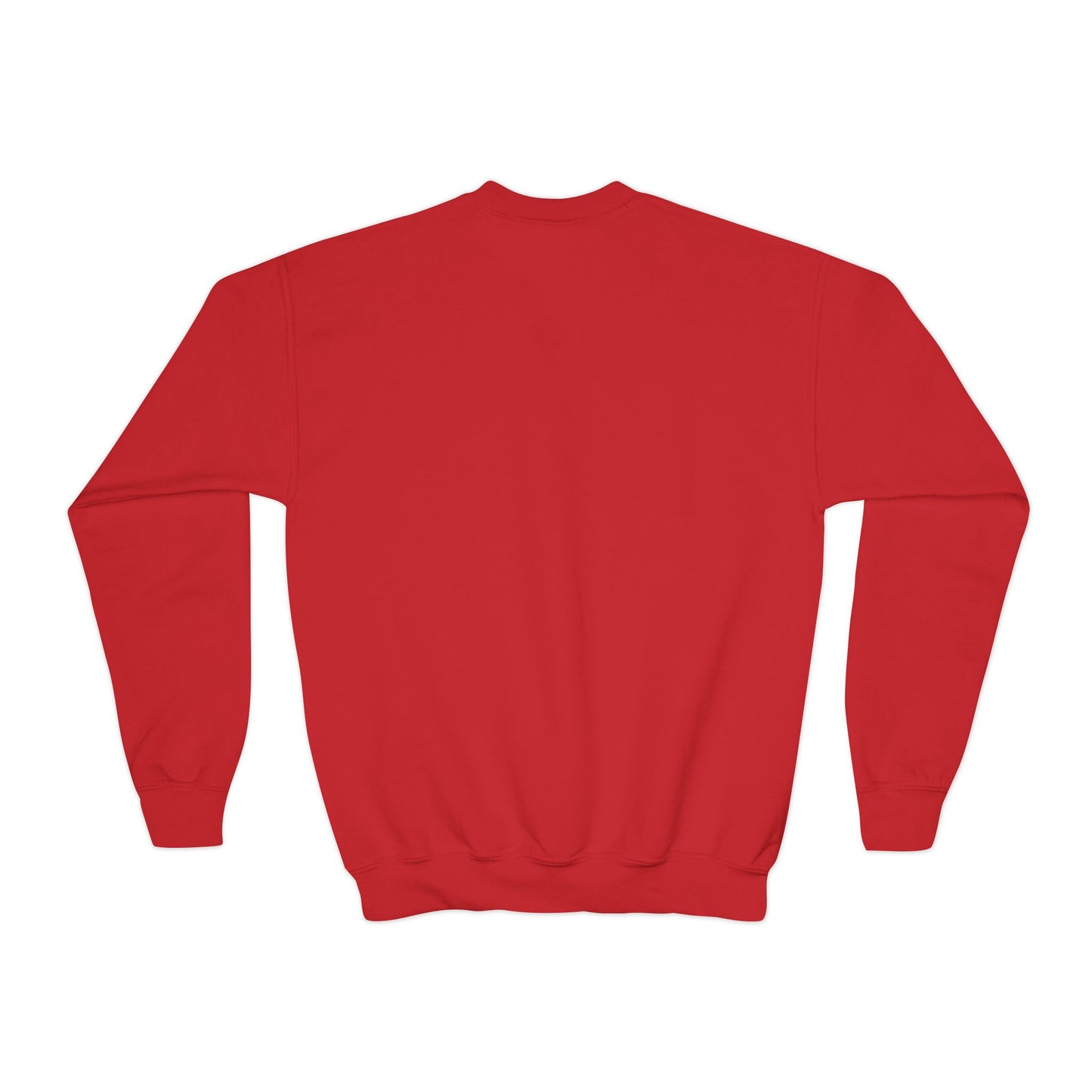 *Custom Youth Crewneck Sweatshirt — Various Colors - Upload Your Design
