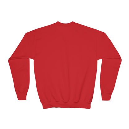 *Custom Youth Crewneck Sweatshirt — Various Colors - Upload Your Design