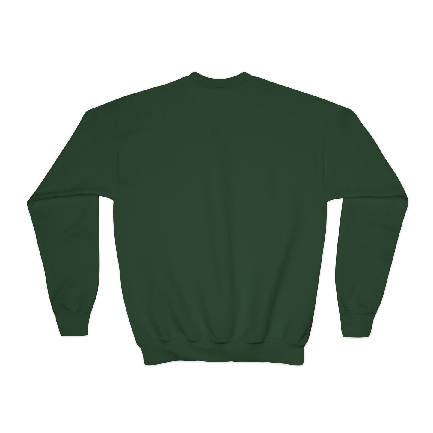 *Custom Youth Crewneck Sweatshirt — Various Colors - Upload Your Design